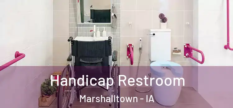 Handicap Restroom Marshalltown - IA